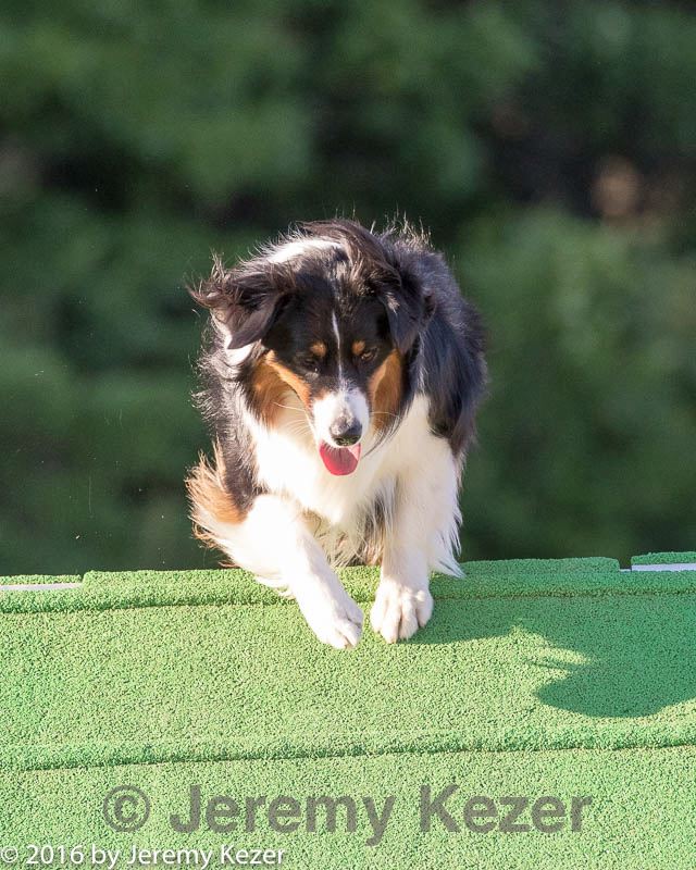 20160618-cckc-2569.jpg