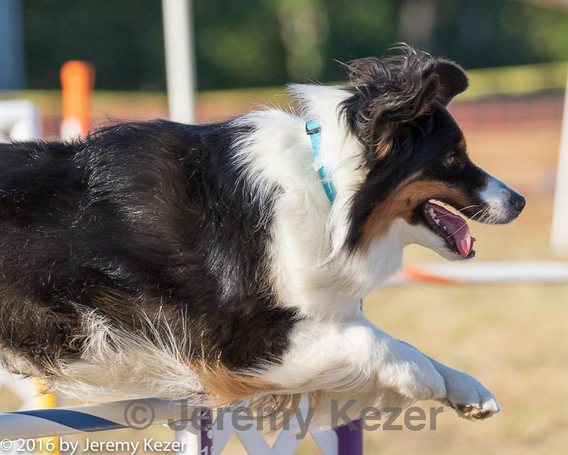 20160618-cckc-2575.jpg