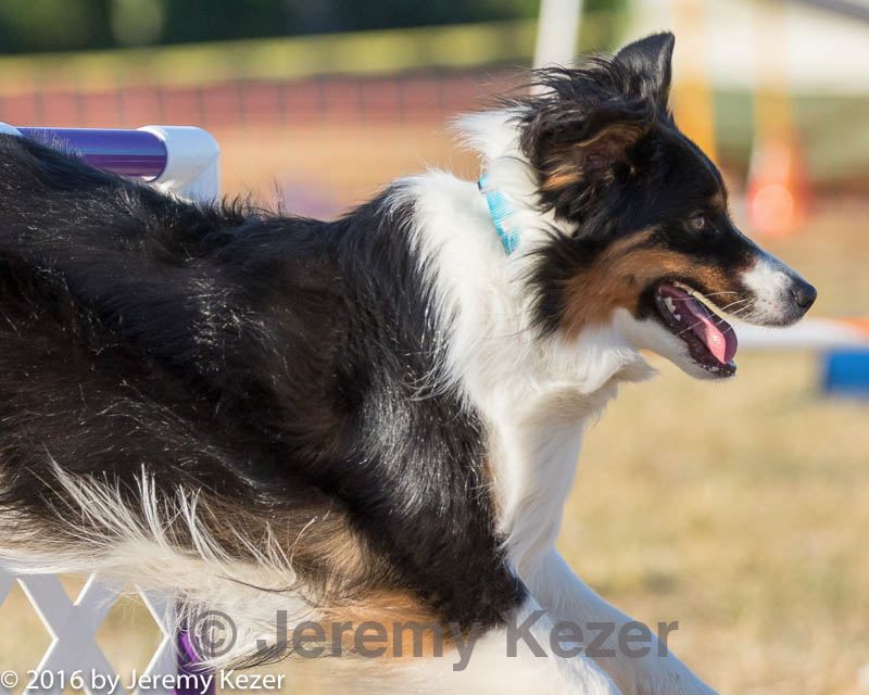 20160618-cckc-2576.jpg