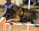 20160618-cckc-2544