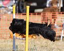 20160618-cckc-2361