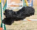 20160618-cckc-2367