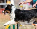 20160618-cckc-2278