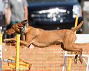 20160618-cckc-2281