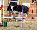 20160618-cckc-2289