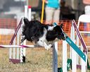 20160618-cckc-2292