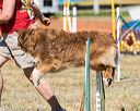 20160618-cckc-2308