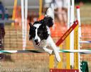 20160618-cckc-2322