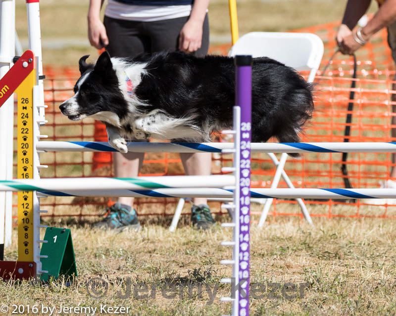 20160618-cckc-2289.jpg