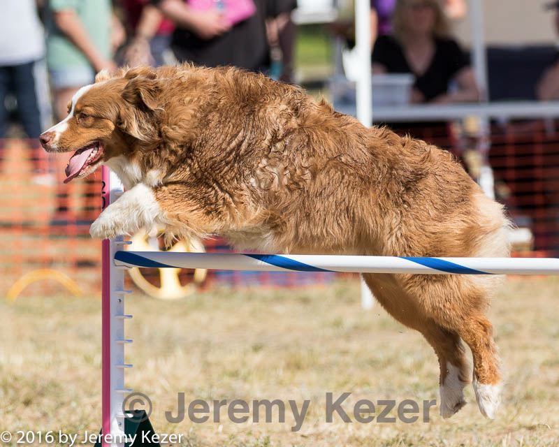 20160618-cckc-2305.jpg