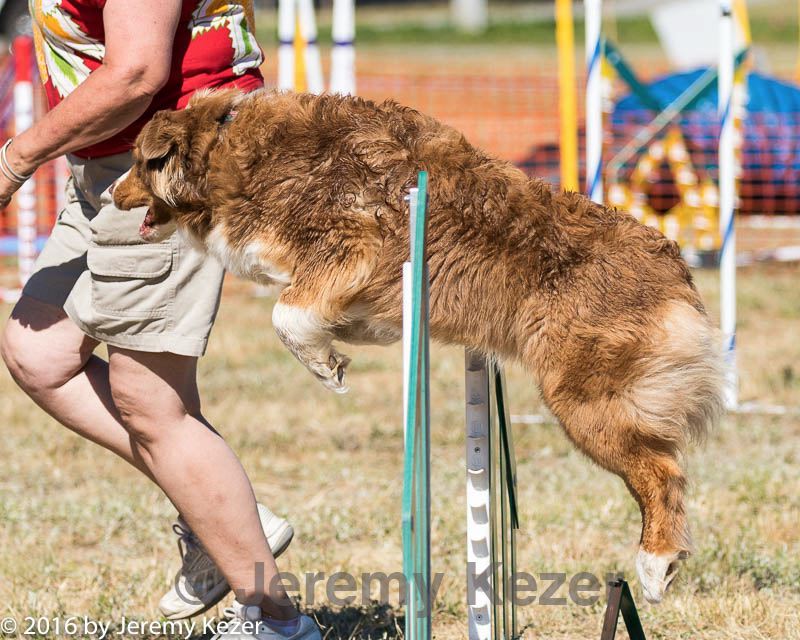 20160618-cckc-2307.jpg