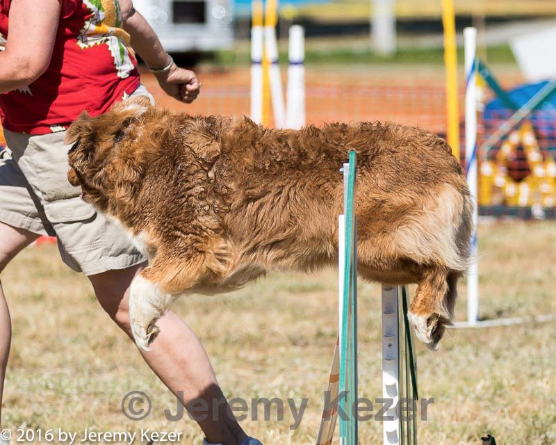 20160618-cckc-2308.jpg