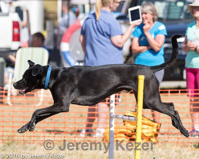 20160618-cckc-2328.jpg