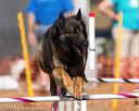 20160618-cckc-2268