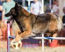 20160618-cckc-2270
