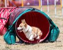 20160618-cckc-1017