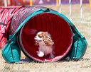 20160618-cckc-1018