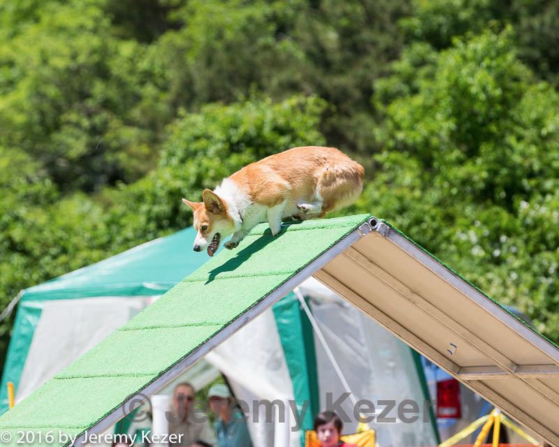 20160618-cckc-1015.jpg