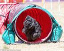 20160618-cckc-0990