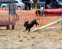 20160618-cckc-1005