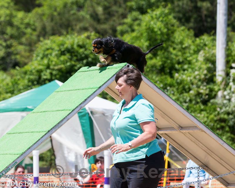 20160618-cckc-0998.jpg