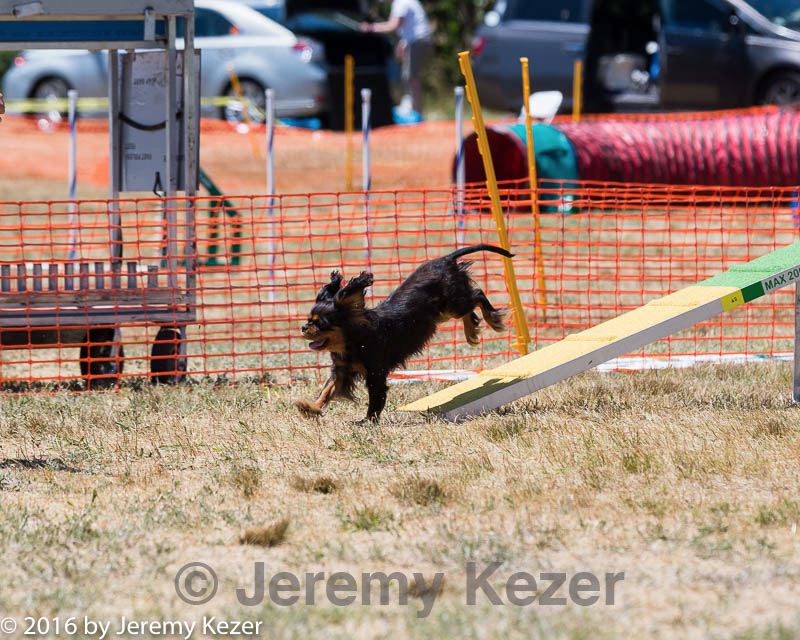 20160618-cckc-1005.jpg
