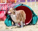 20160618-cckc-0968