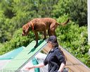 20160618-cckc-0977