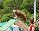 20160618-cckc-0913