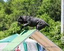 20160618-cckc-0933