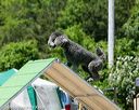 20160618-cckc-0944