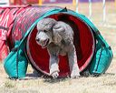 20160618-cckc-0948