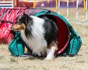 20160618-cckc-0954