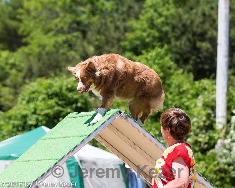 20160618-cckc-0914.jpg
