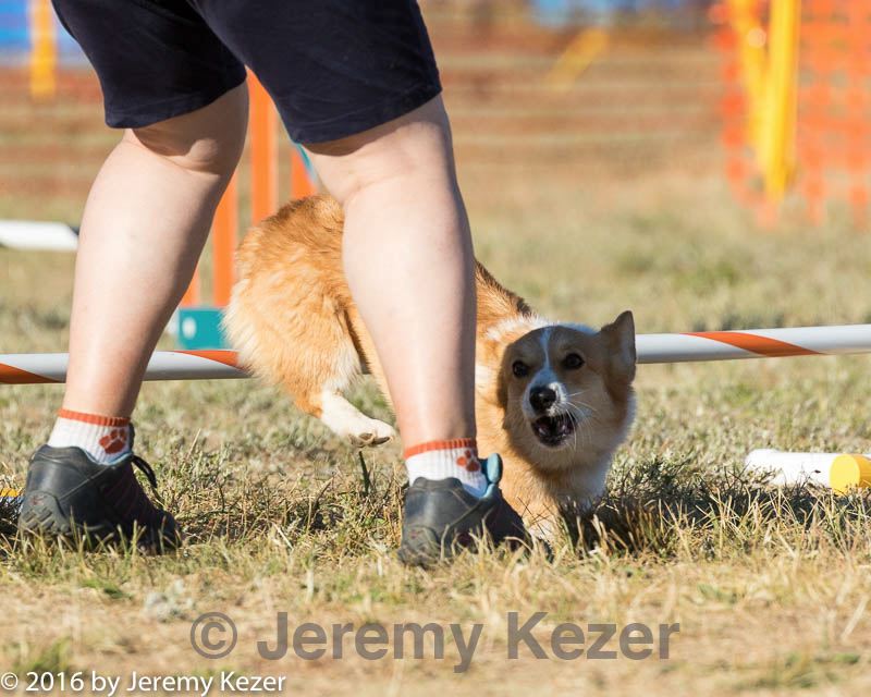 20160618-cckc-2537.jpg