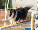 20160618-cckc-2533
