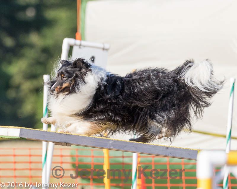 20160618-cckc-2531.jpg
