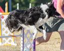20160618-cckc-2511