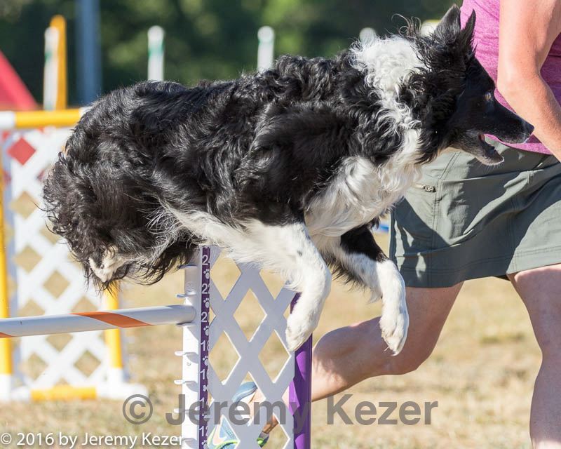 20160618-cckc-2511.jpg