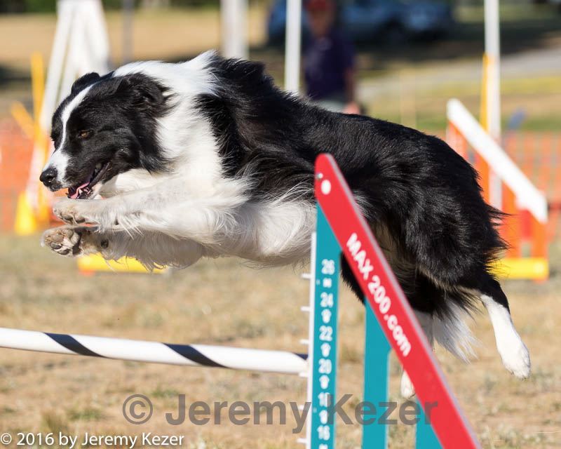 20160618-cckc-2528.jpg