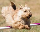 20160618-cckc-0848