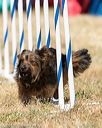 20160618-cckc-0826