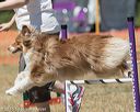 20160618-cckc-0747