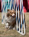20160618-cckc-0753