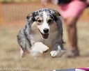 20160618-cckc-0776