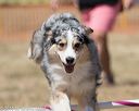 20160618-cckc-0777