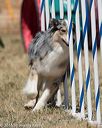 20160618-cckc-0780