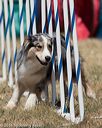 20160618-cckc-0787