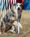 20160618-cckc-0792