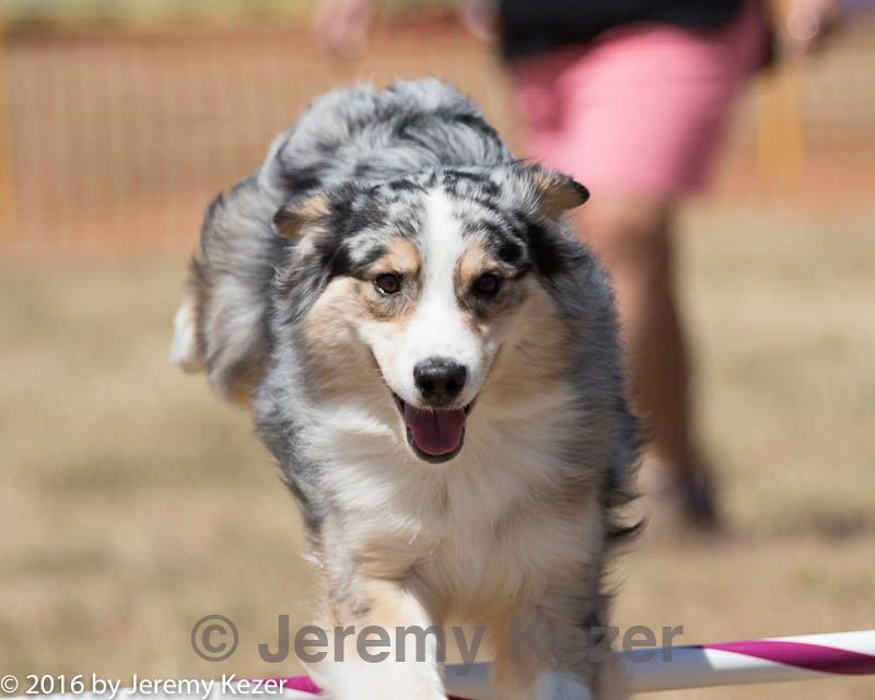 20160618-cckc-0777.jpg